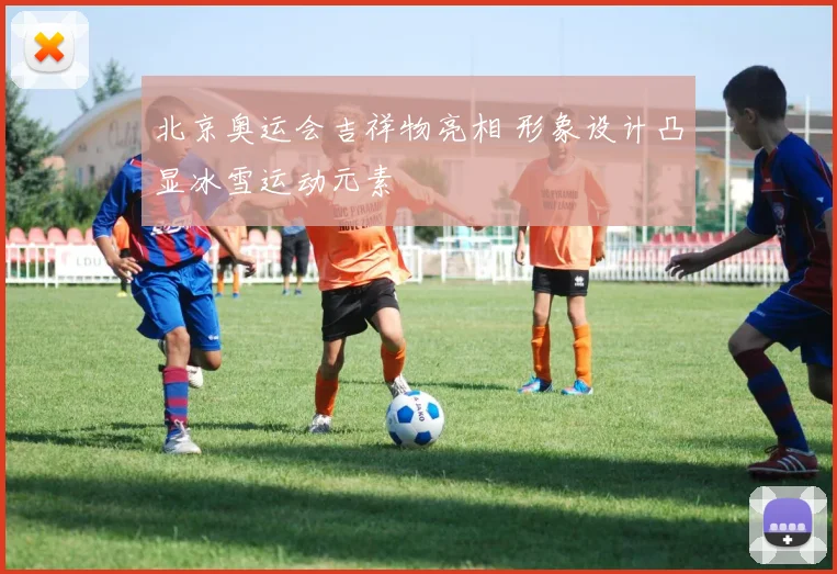 北京奥运会吉祥物亮相 形象设计凸显冰雪运动元素